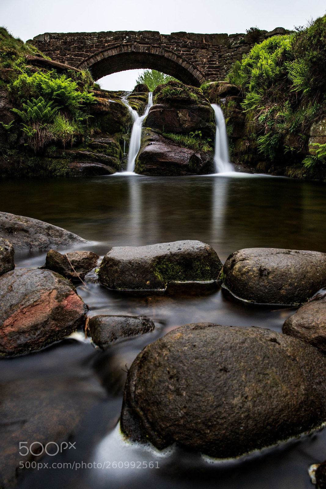 Canon EOS 6D Mark II sample photo. Didn t realise how photography