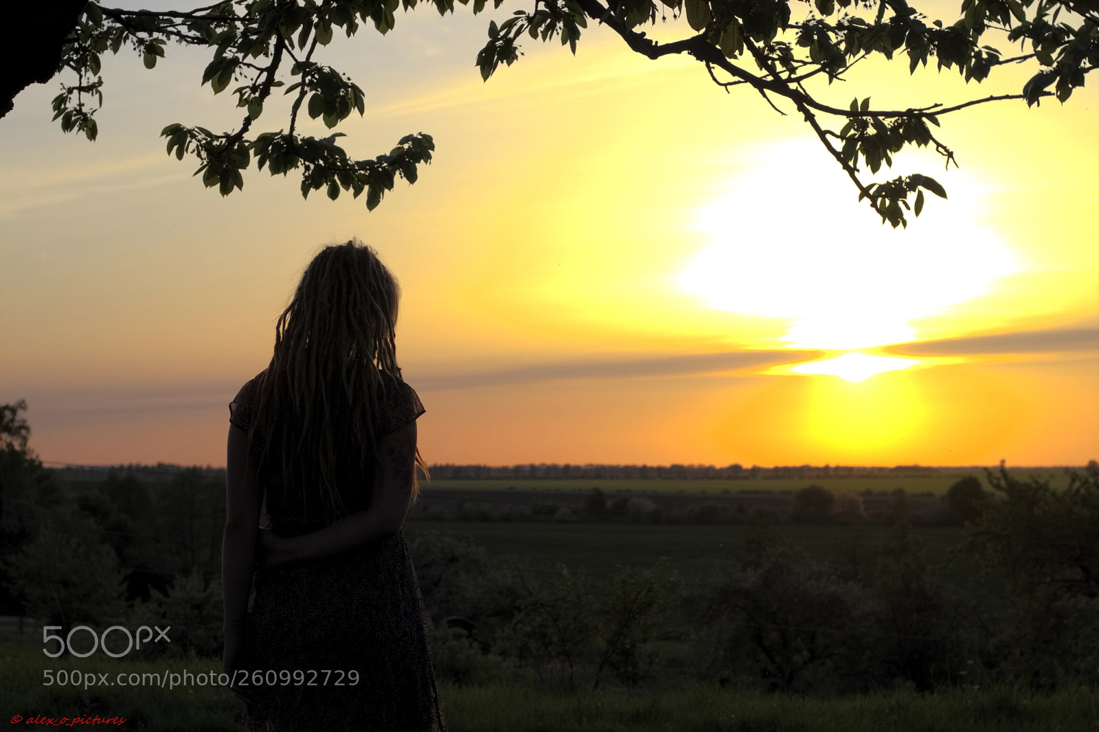 Canon EOS 80D sample photo. Untitled photography