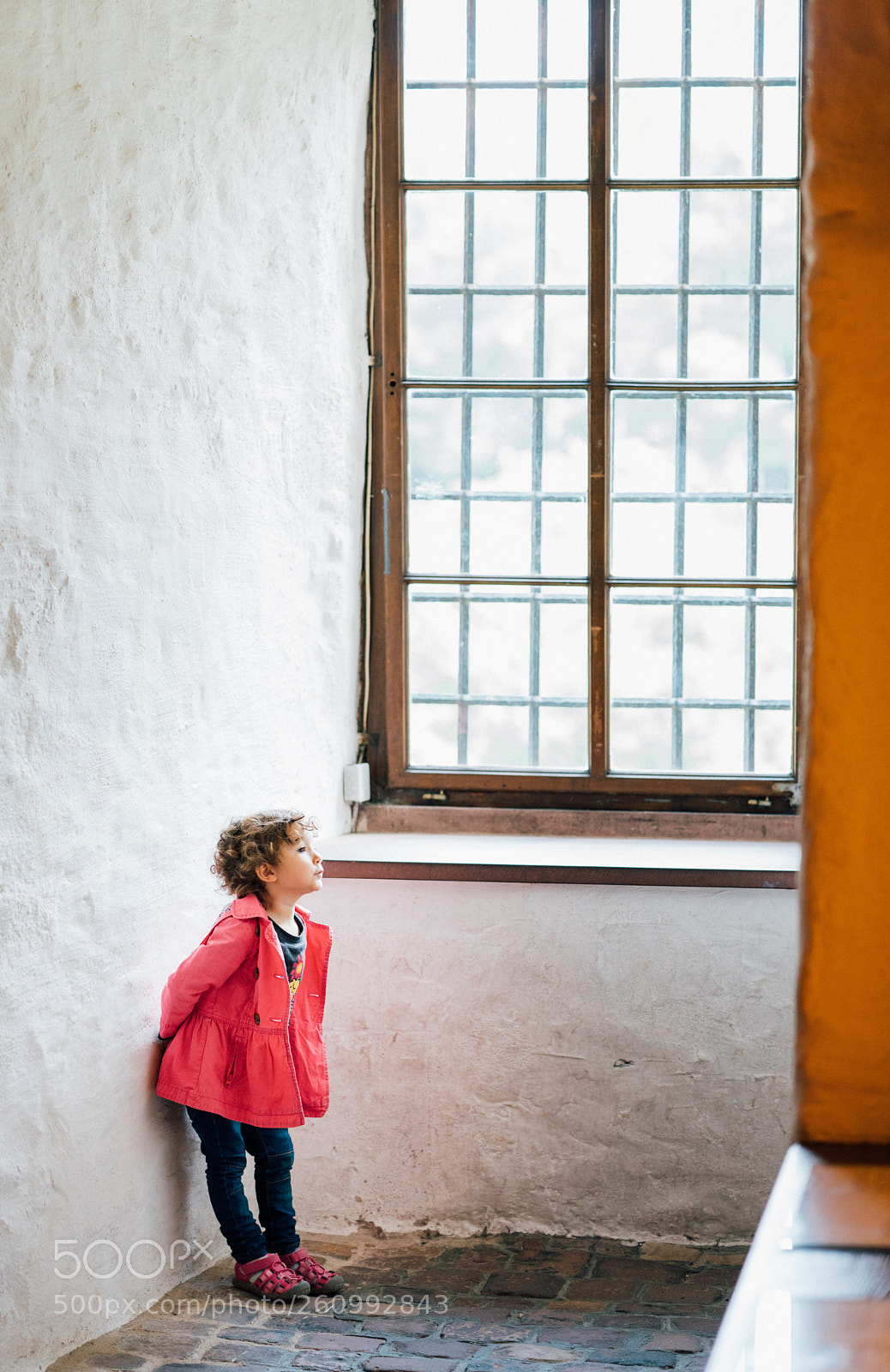 Sony a7R III sample photo. In front of window photography