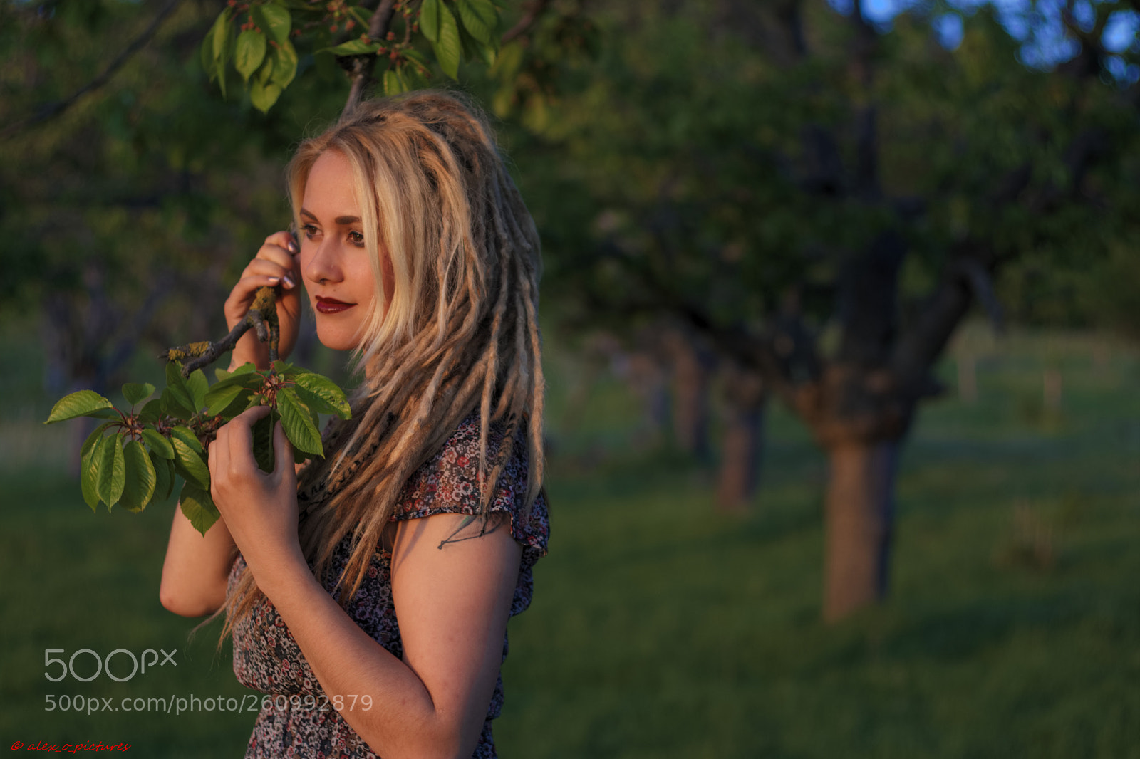 Canon EOS 80D sample photo. Untitled photography