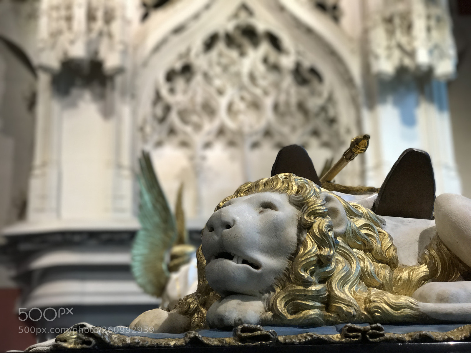 Apple iPhone 7 Plus sample photo. __sleepy lion. photography