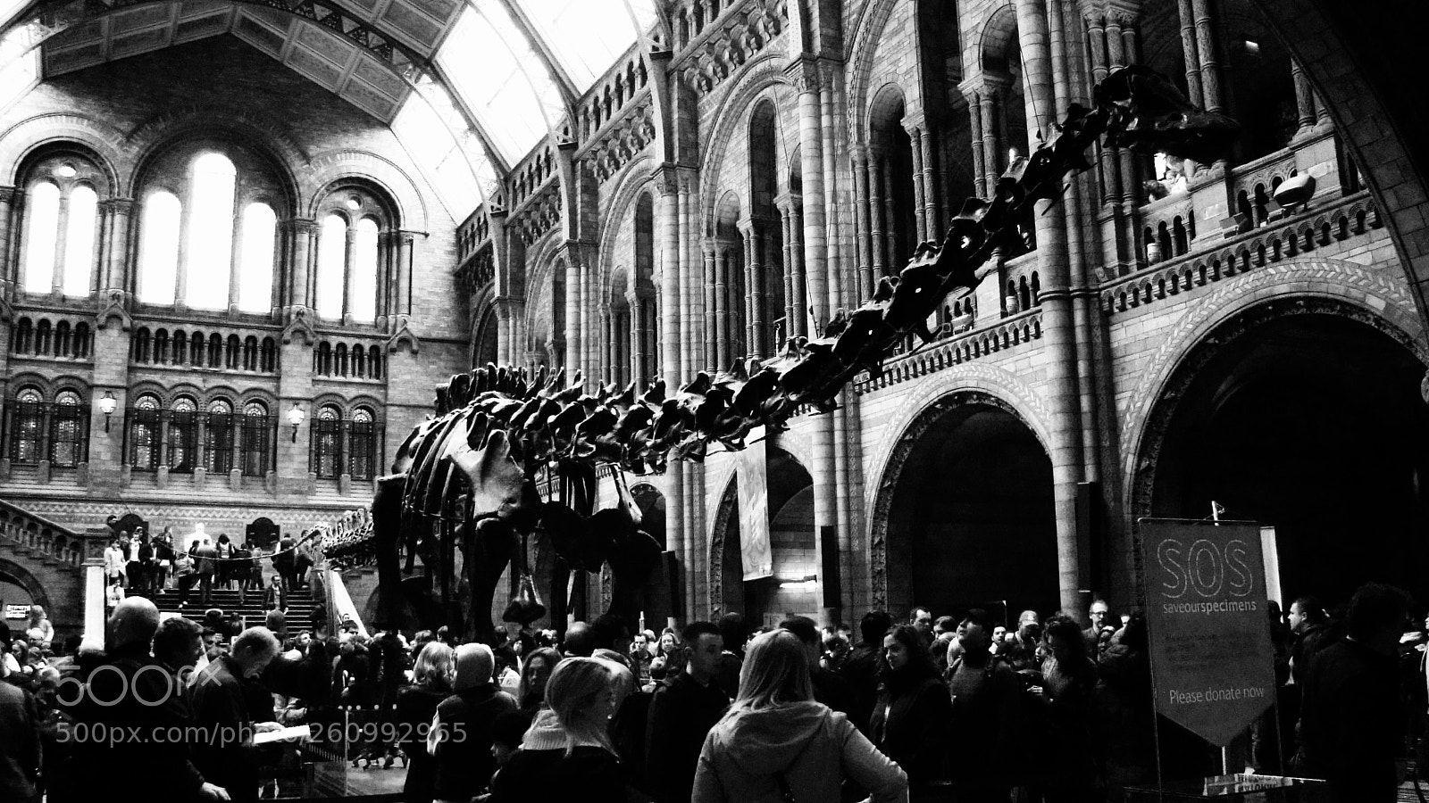 Sony Cyber-shot DSC-H50 sample photo. Among dinosaurs reedited photography