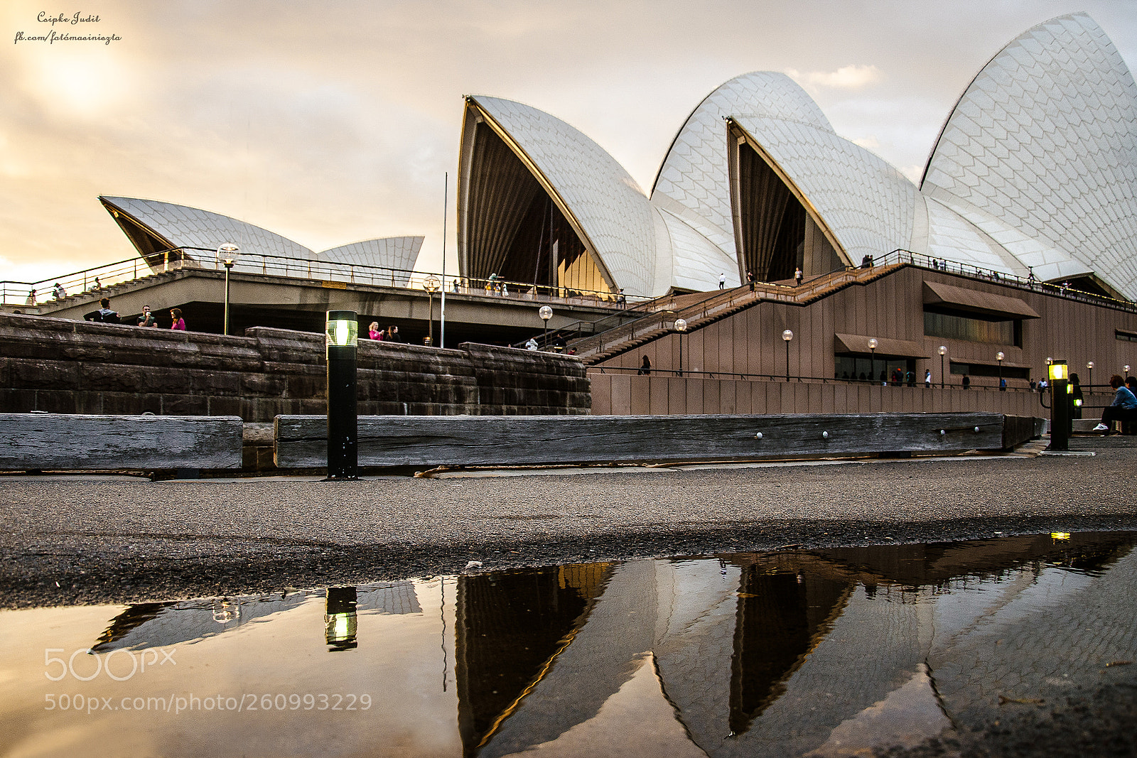 Nikon D5100 sample photo. Upside down under photography