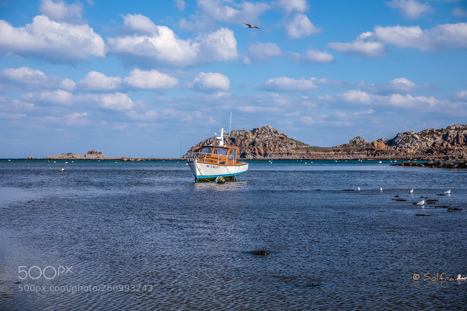 Canon EOS 5D Mark IV sample photo. Sailing photography
