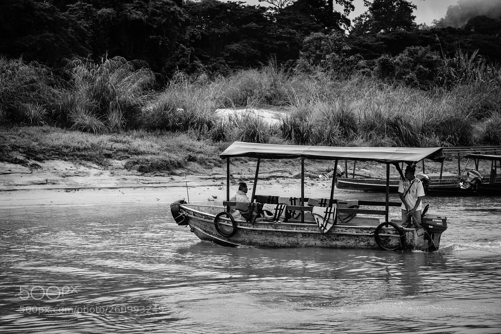 Fujifilm X-Pro2 sample photo. Malaysia national park photography