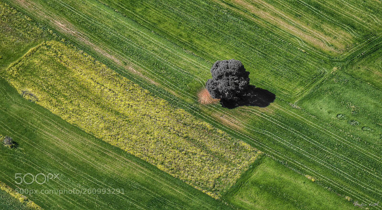 Nikon D3200 sample photo. Untitled photography