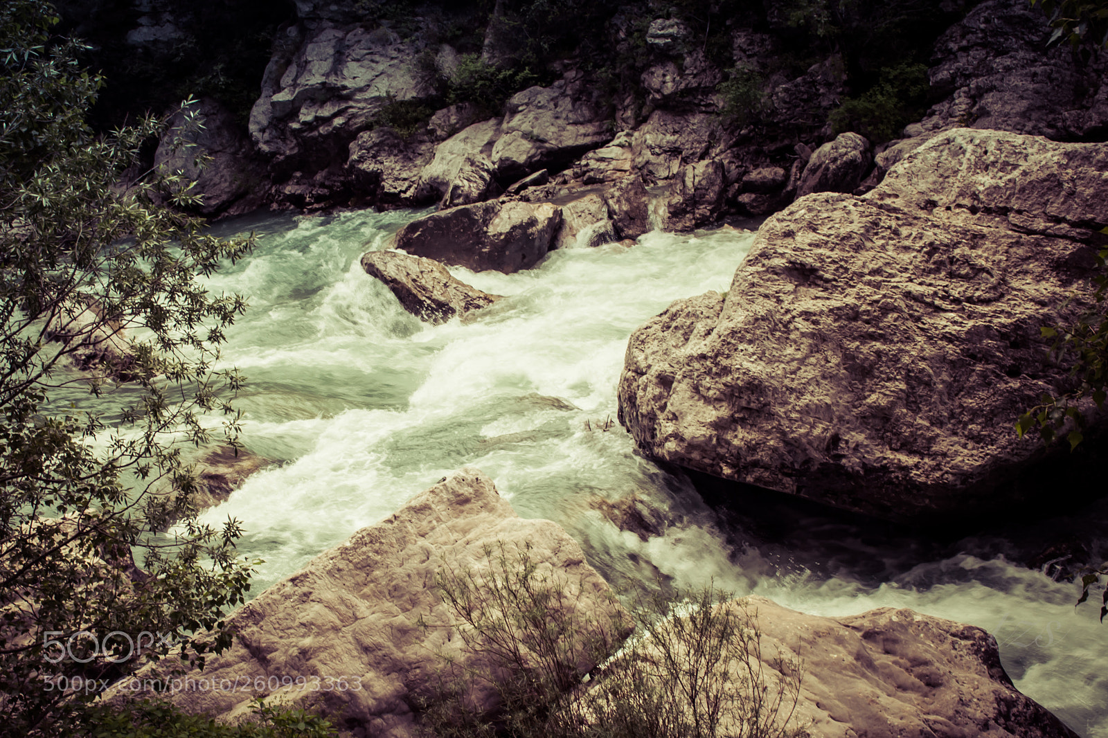 Nikon D3100 sample photo. .... photography
