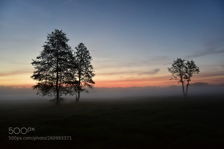 Nikon D5500 sample photo. The sunrise photography