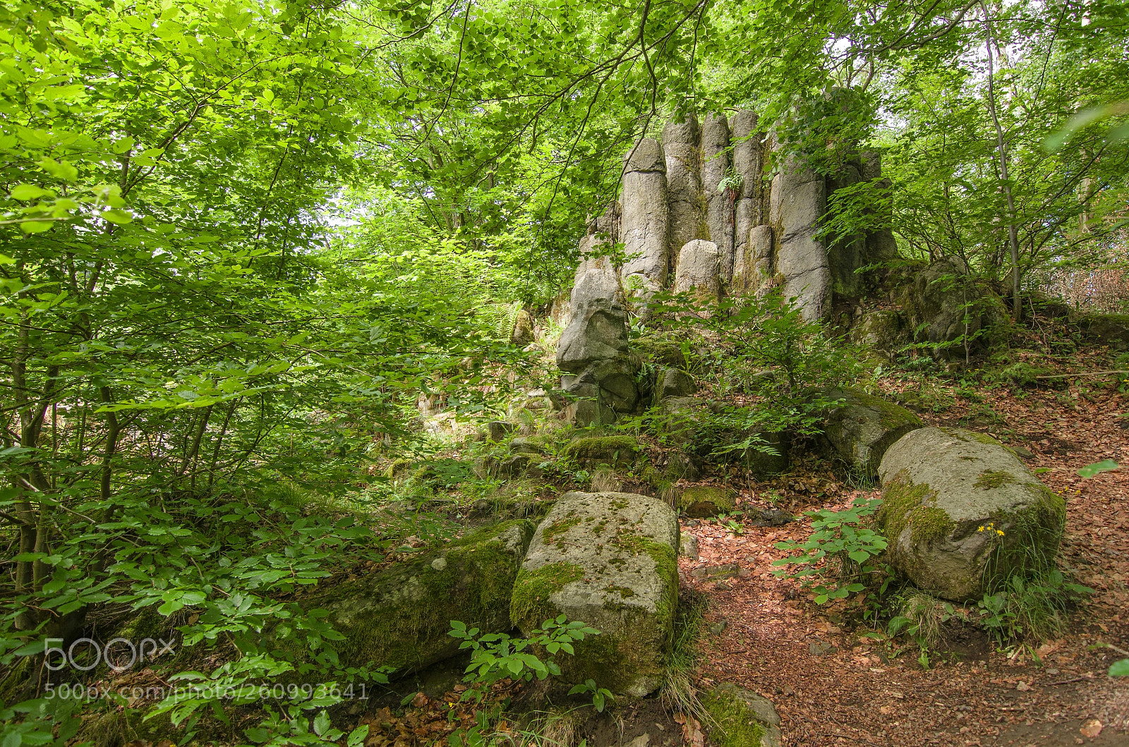 Nikon D5100 sample photo. A magical place photography