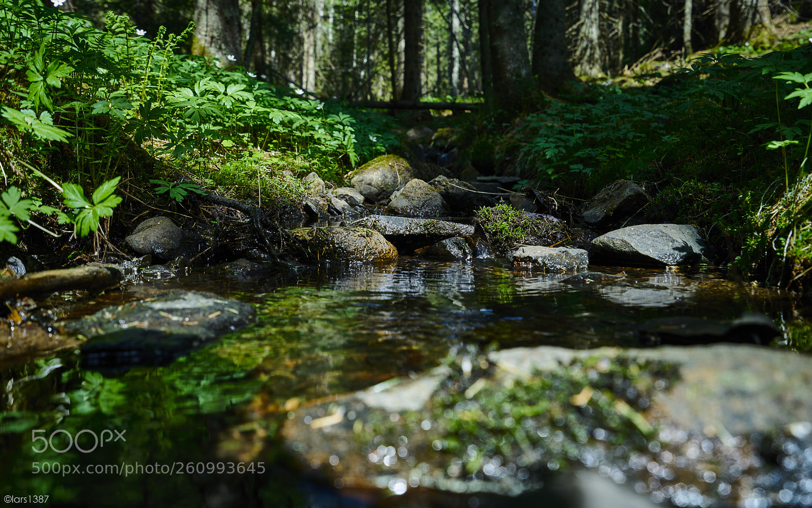 Sony a7R II sample photo. A quiet place in photography