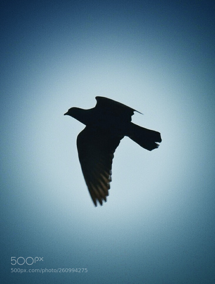 Nikon D3300 sample photo. Untitled photography