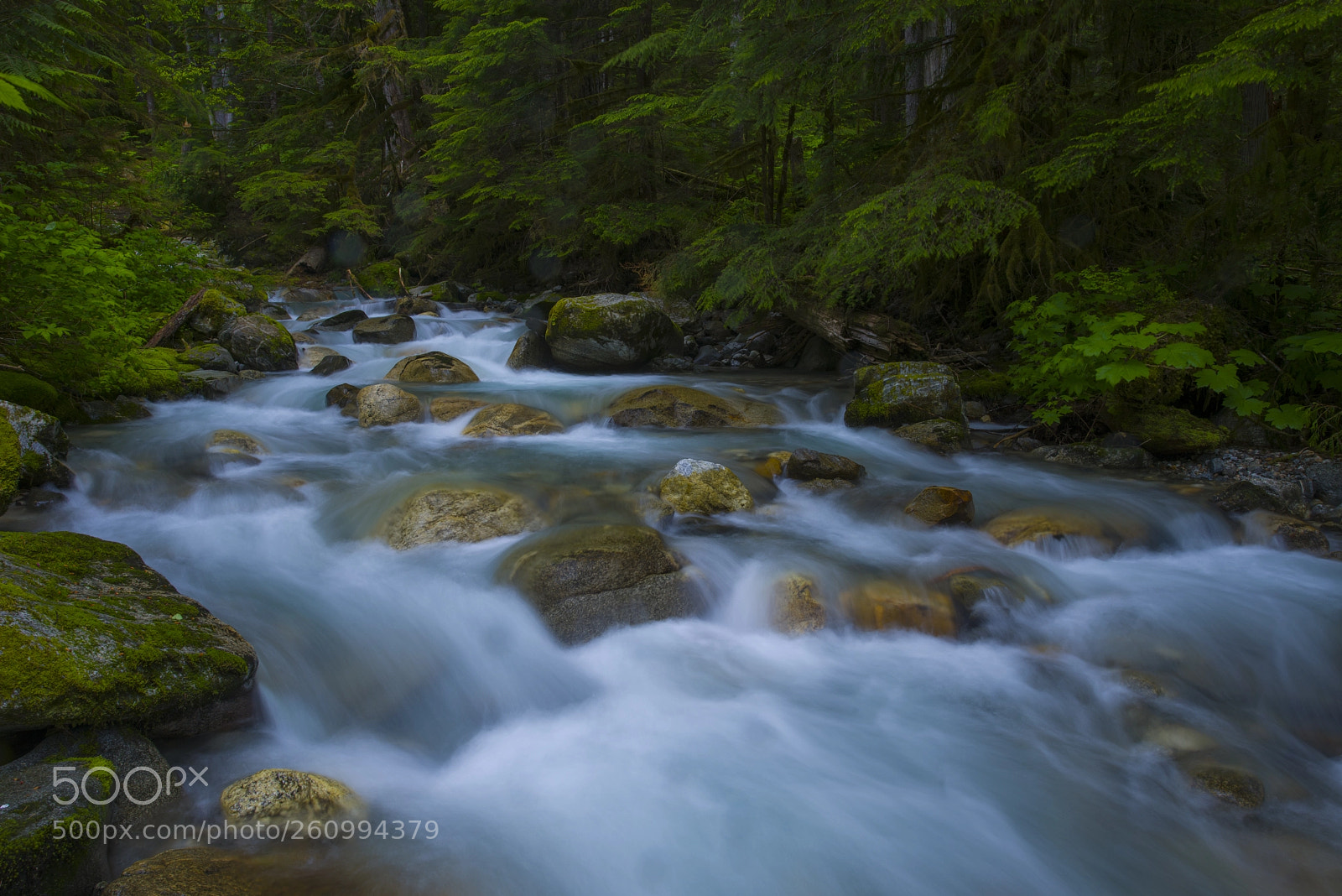 Nikon D800 sample photo. Colonial creek photography