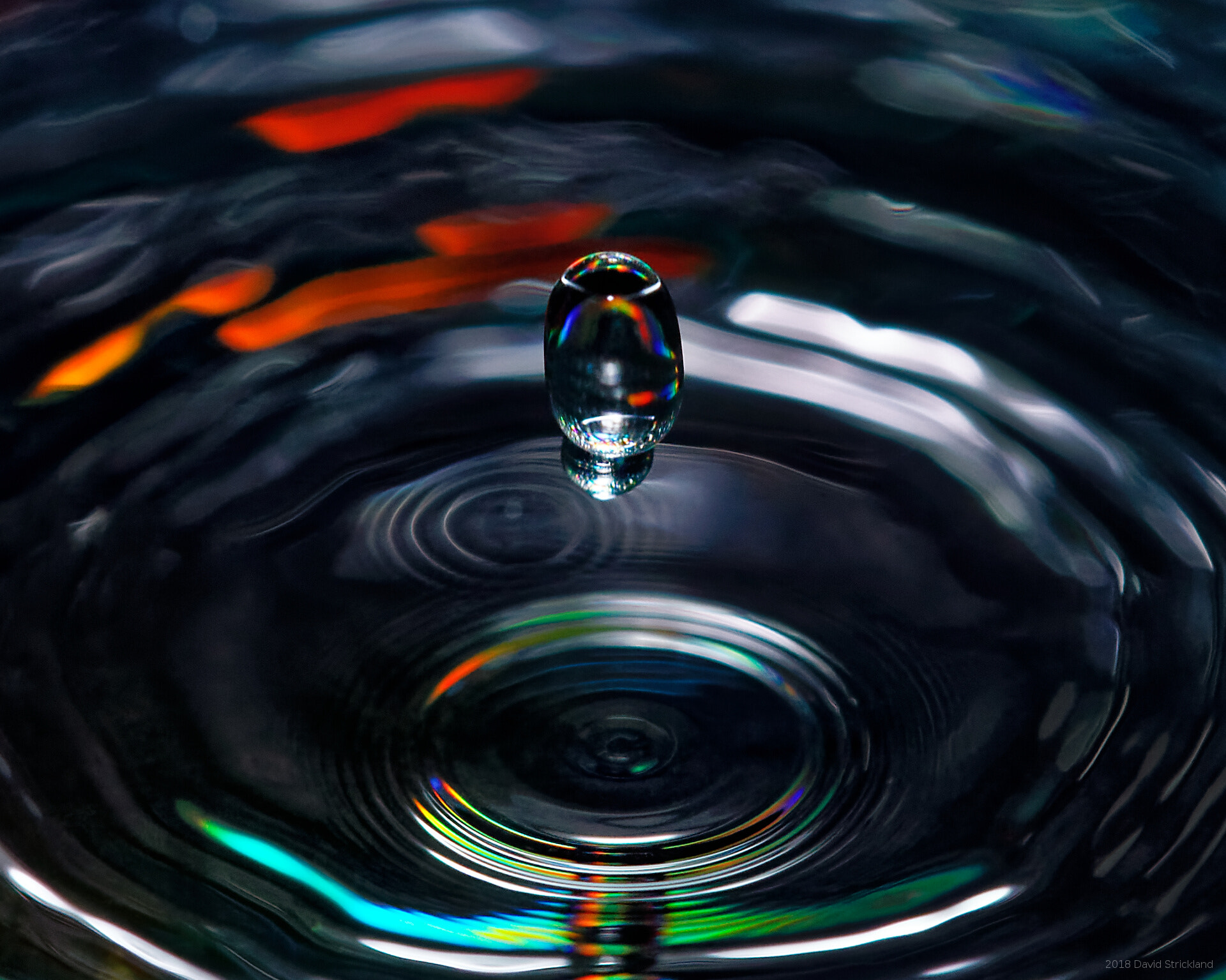 Canon EOS 6D Mark II + Canon EF 100mm F2.8L Macro IS USM sample photo. Falling towards rippled water photography