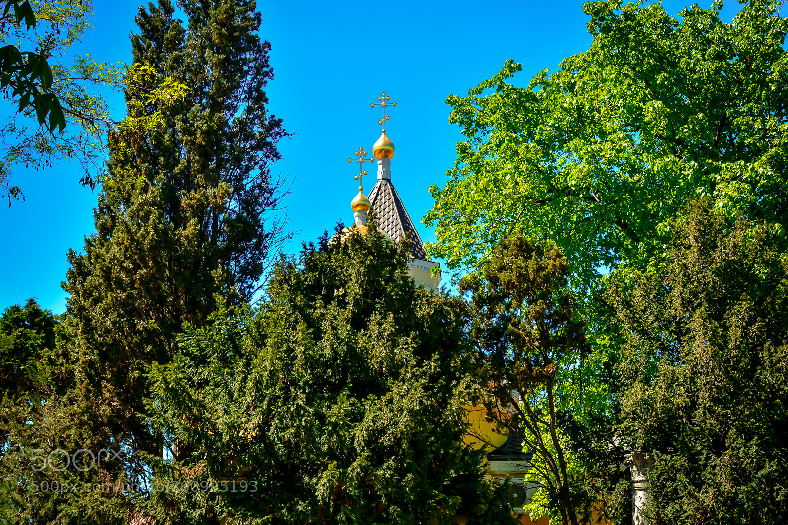 Nikon D5200 sample photo. Храм в цвету photography