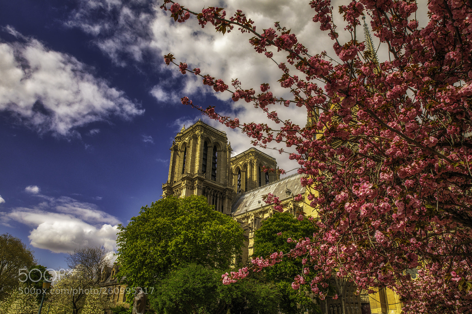 Canon EOS 5D Mark IV sample photo. Notre dame - springtime photography
