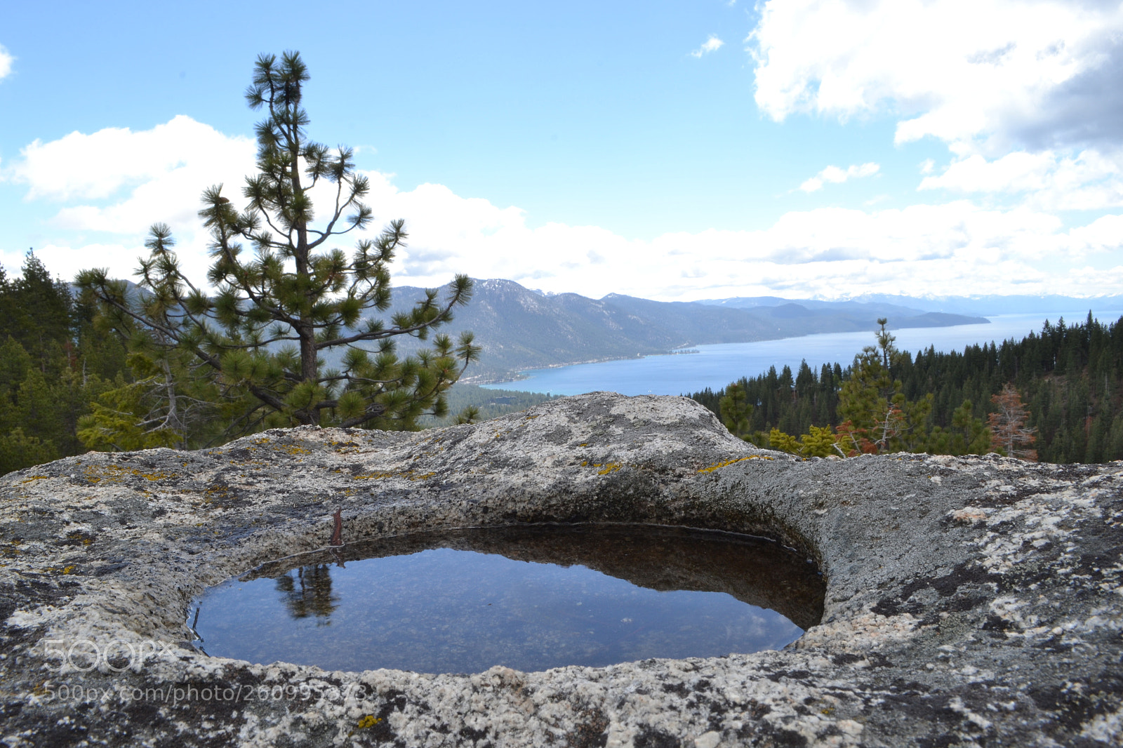 Nikon D3100 sample photo. Reflection photography