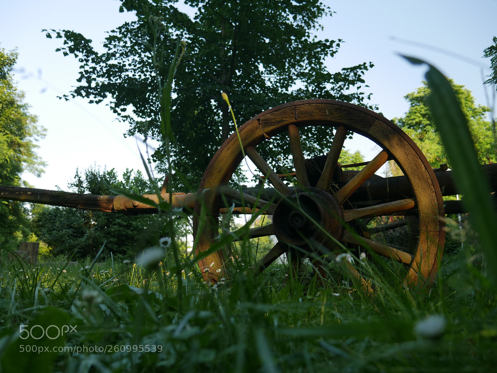 Panasonic DMC-G70 sample photo. Holzrad photography