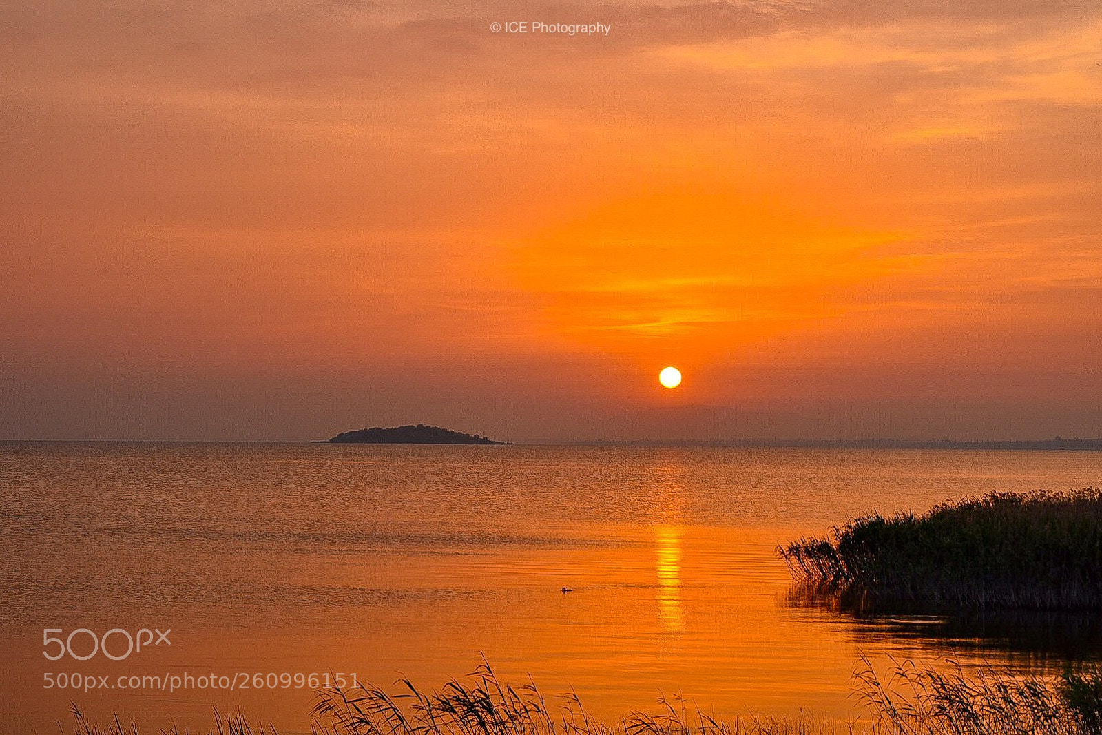 Nikon D7200 sample photo. Sunset photography