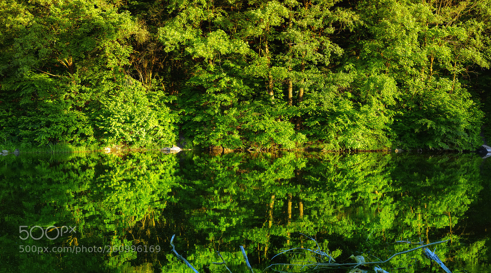 Nikon D800E sample photo. Reflection photography