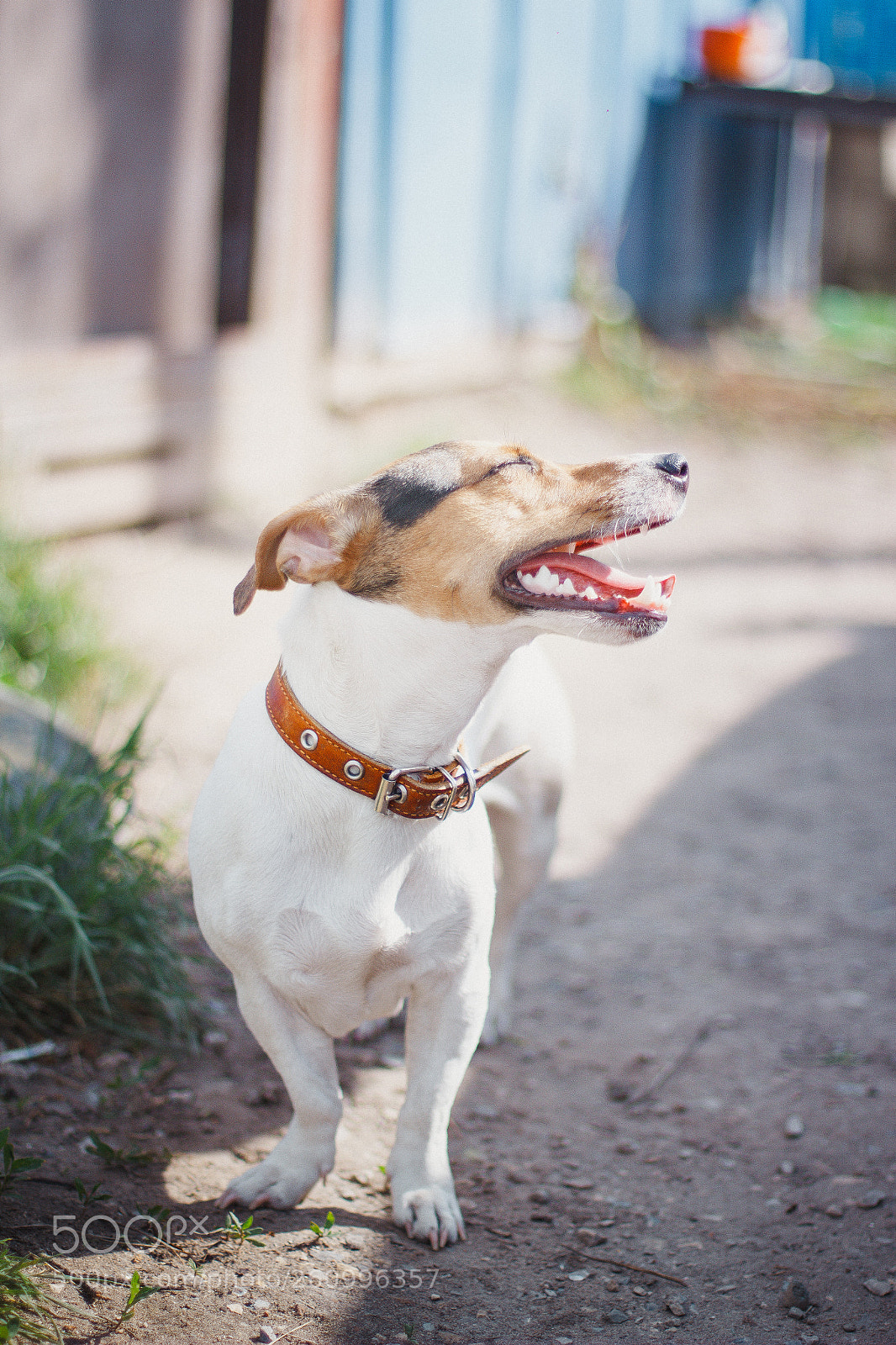 Canon EOS 60D sample photo. Maylo photography
