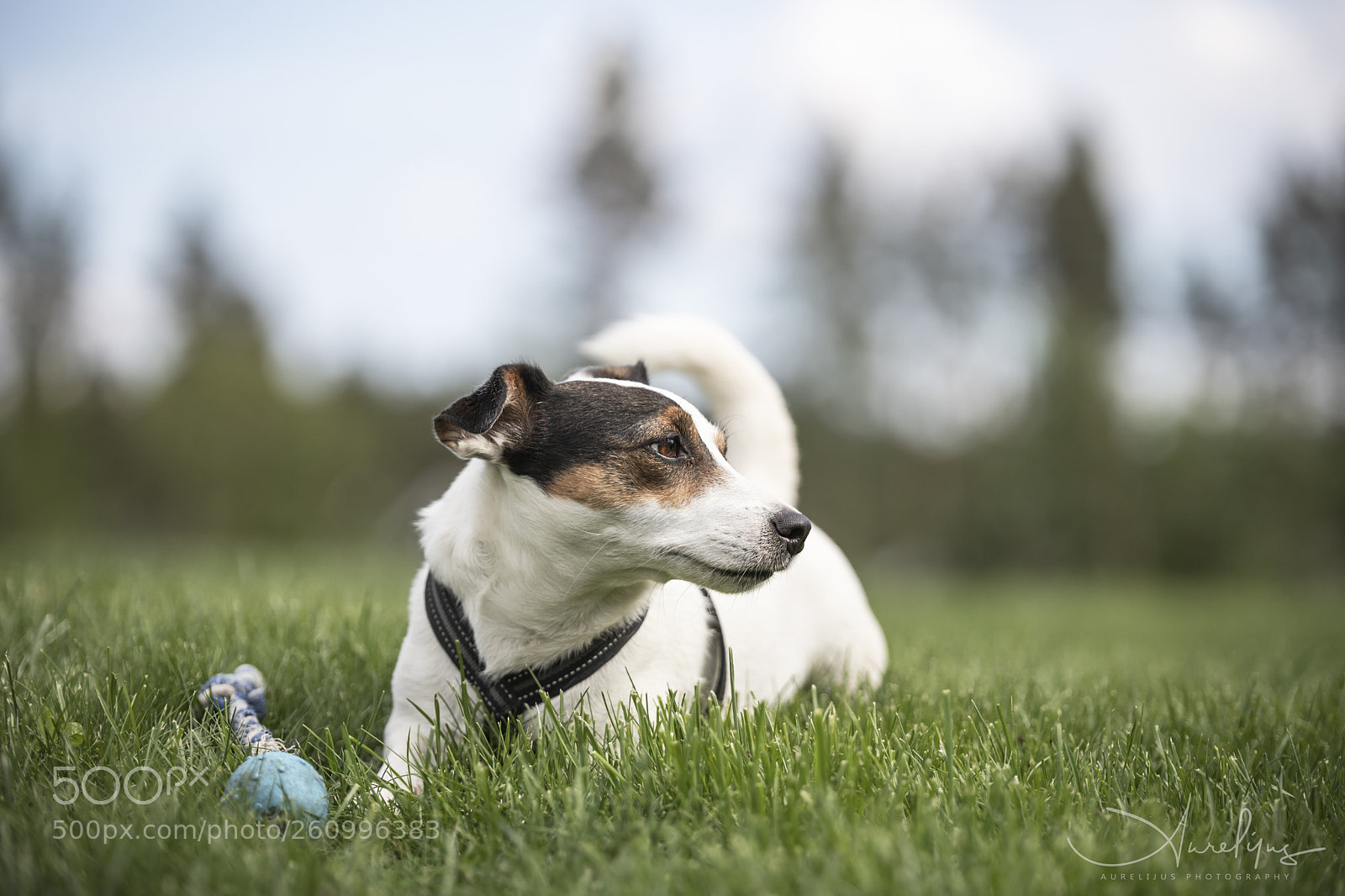 Canon EOS 6D Mark II sample photo. Mia photography