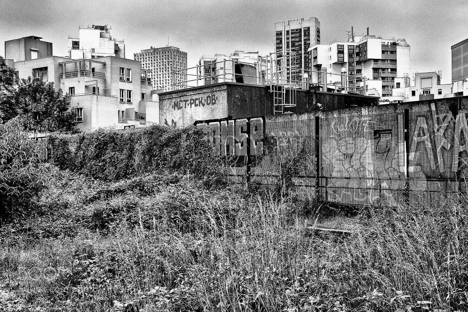 Fujifilm X-T2 sample photo. Le long de la photography