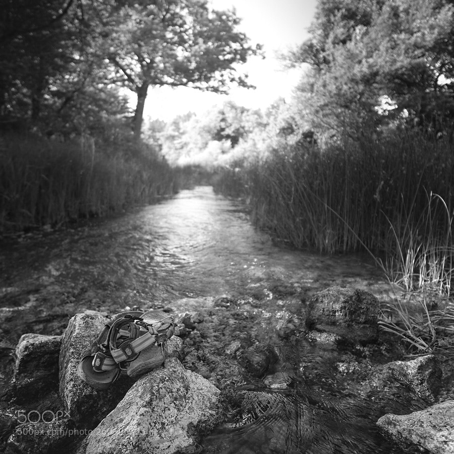 Fujifilm X-T1 sample photo. Gone for swimming photography