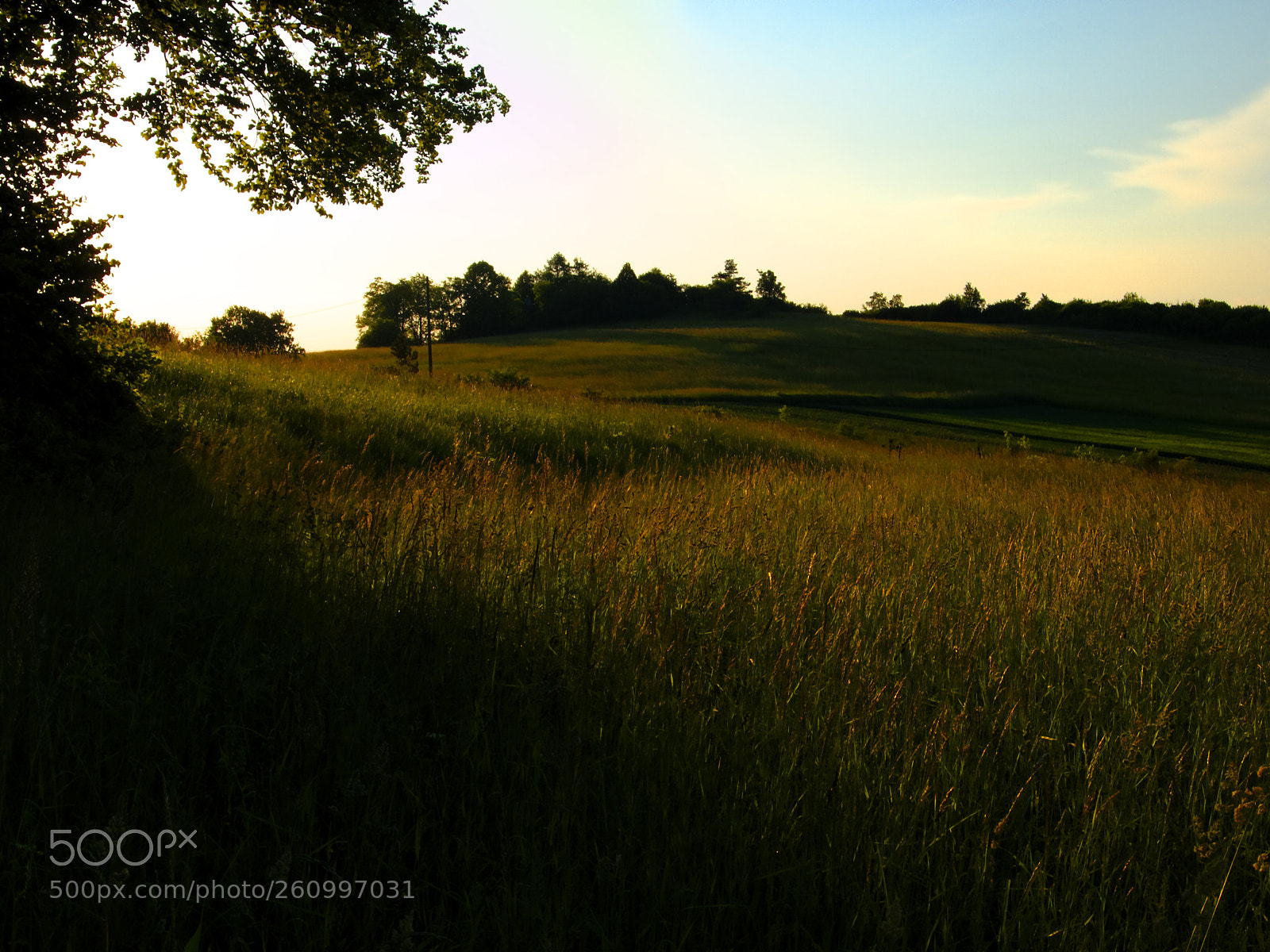 Olympus E-420 (EVOLT E-420) sample photo. Meadow photography