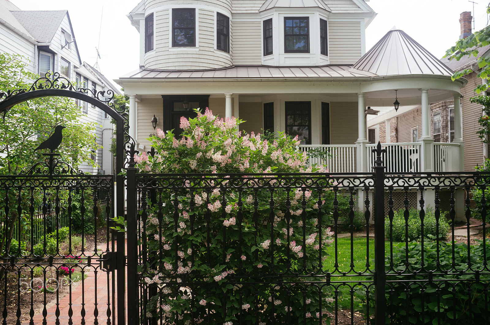 Fujifilm FinePix X100 sample photo. Ravenswood photography