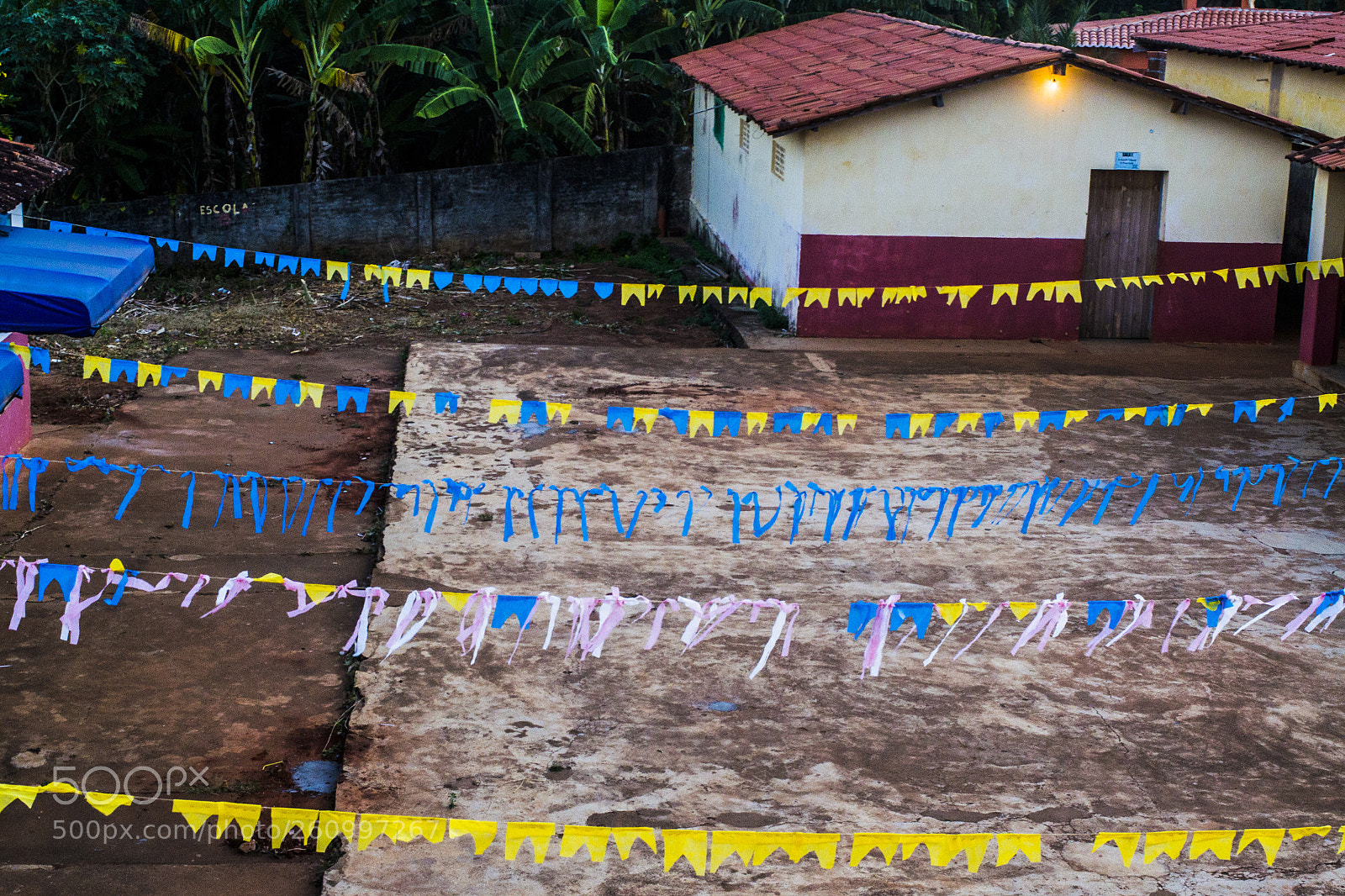 Nikon D3100 sample photo. A escolinha de s photography