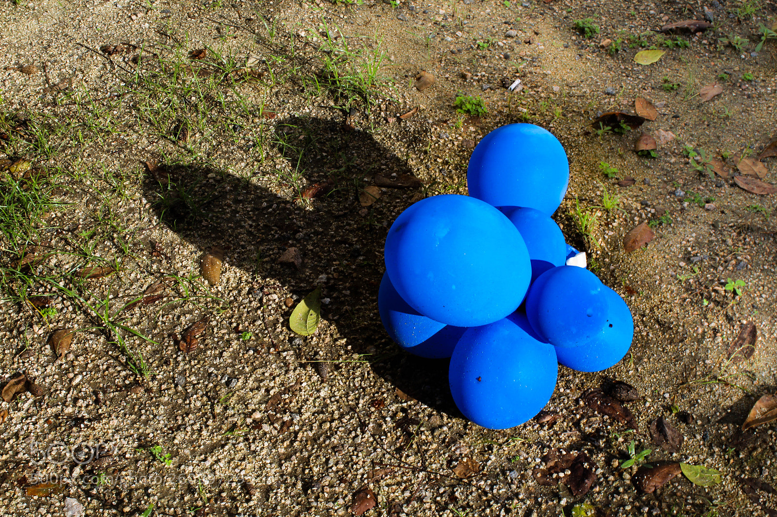 Canon EOS 1300D (EOS Rebel T6 / EOS Kiss X80) sample photo. Balloons photography