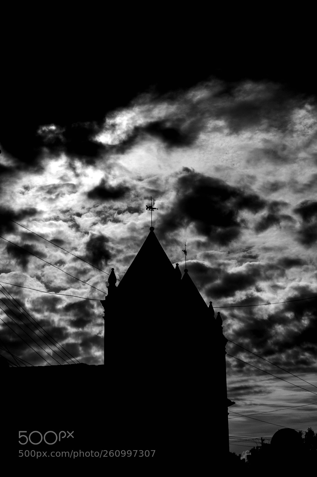 Canon EOS 1300D (EOS Rebel T6 / EOS Kiss X80) sample photo. Mono photography
