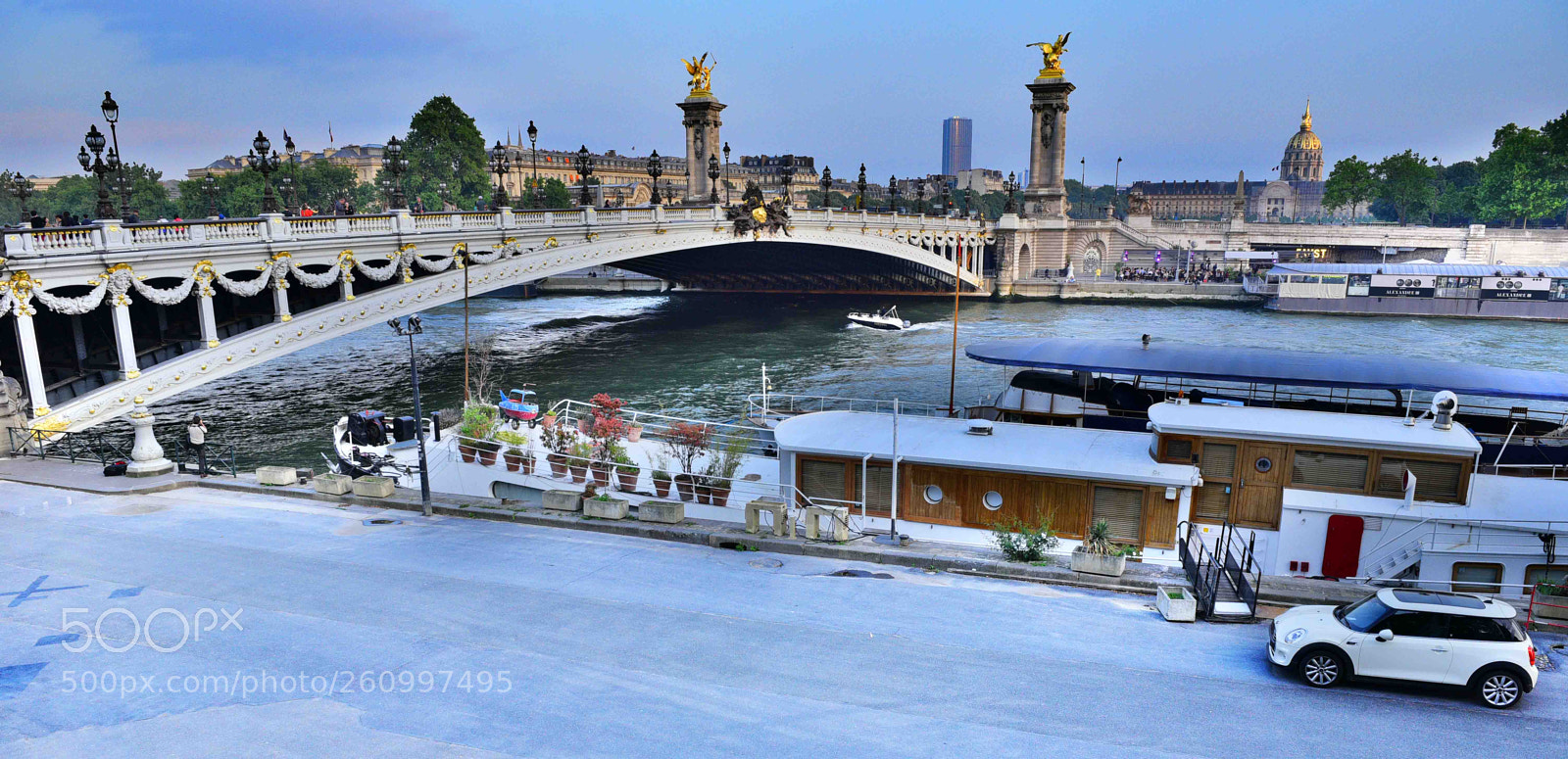 Nikon D750 sample photo. Pont alexandre iii photography
