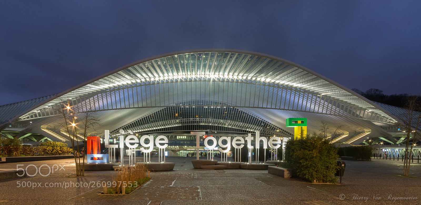 Nikon D7100 sample photo. Gare des guillemins photography