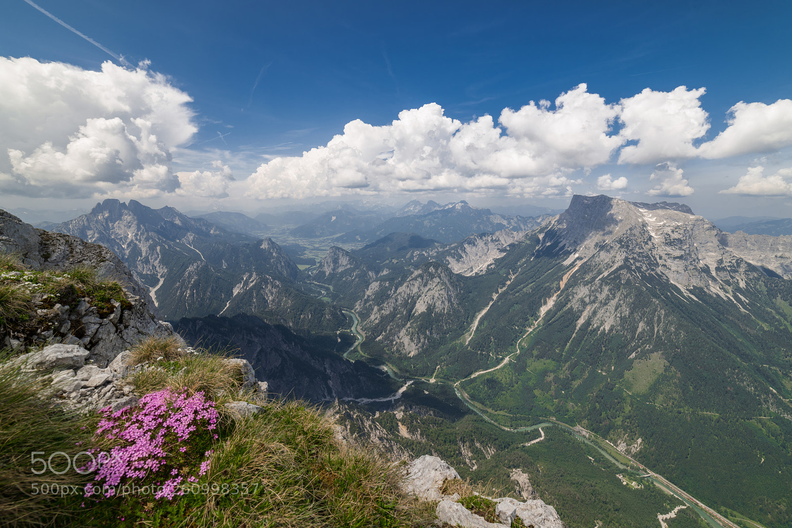 Nikon D850 sample photo. Mountain flowers photography