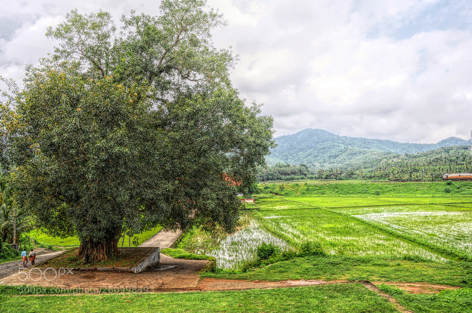 Nikon D90 sample photo. God's own country photography