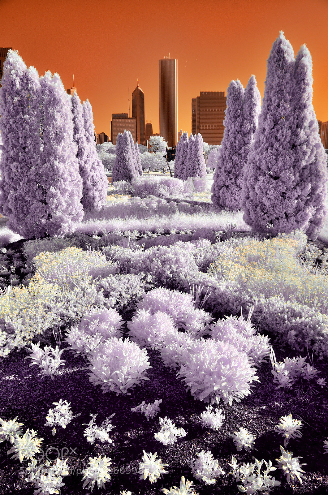 Nikon D7000 sample photo. Infrared - grant park photography