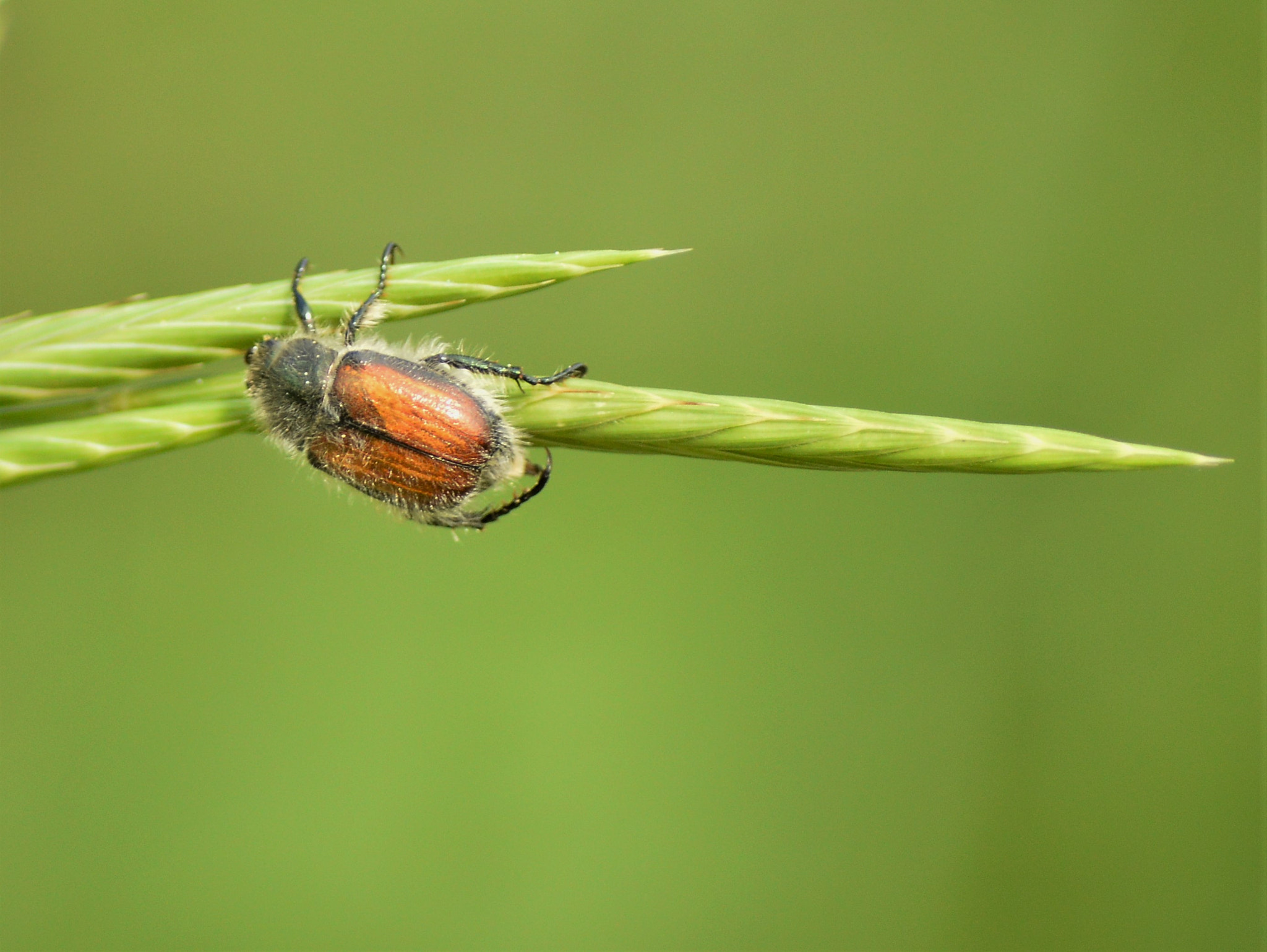 Nikon D3200 sample photo