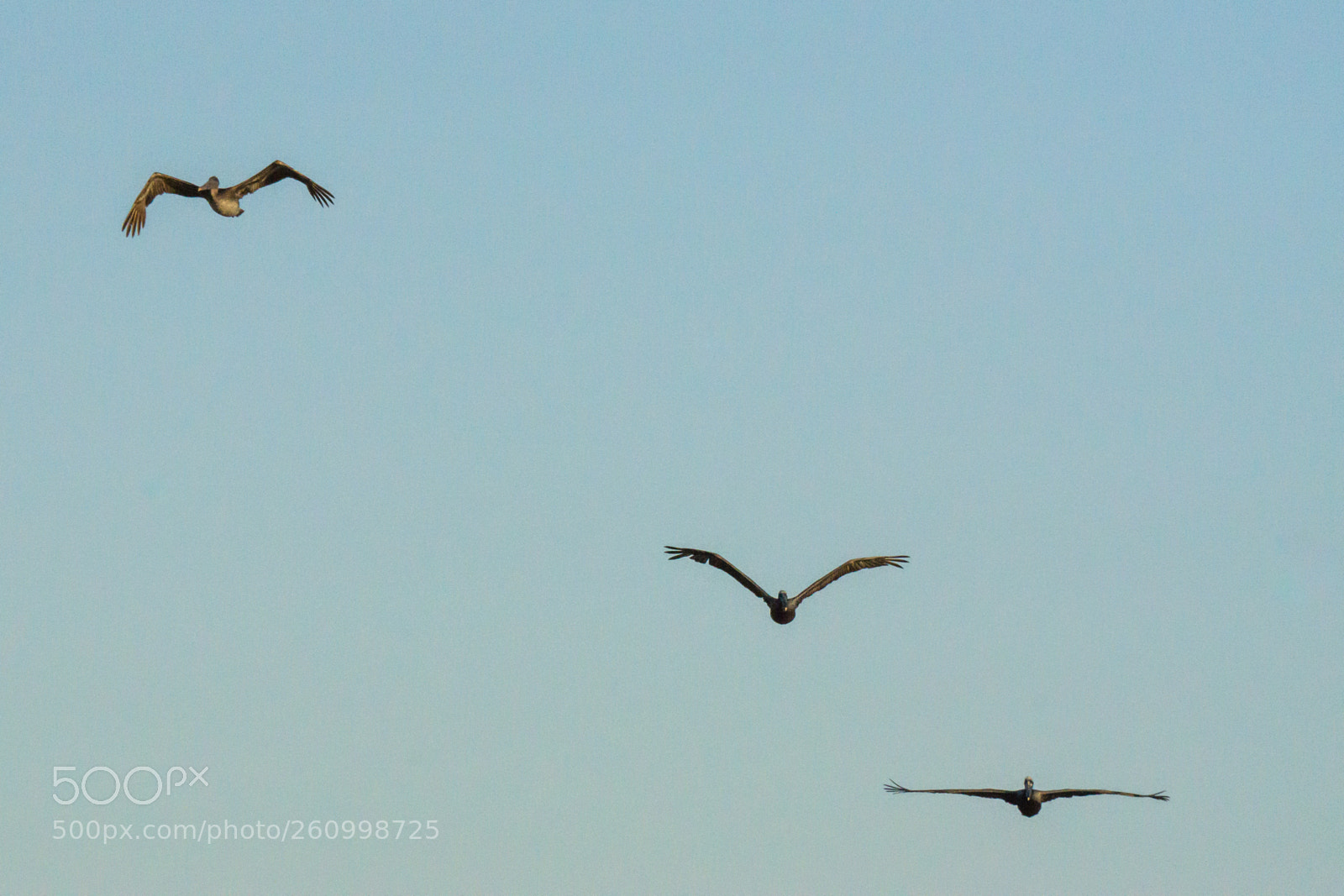 Sony a6000 sample photo. Three modes of flight photography