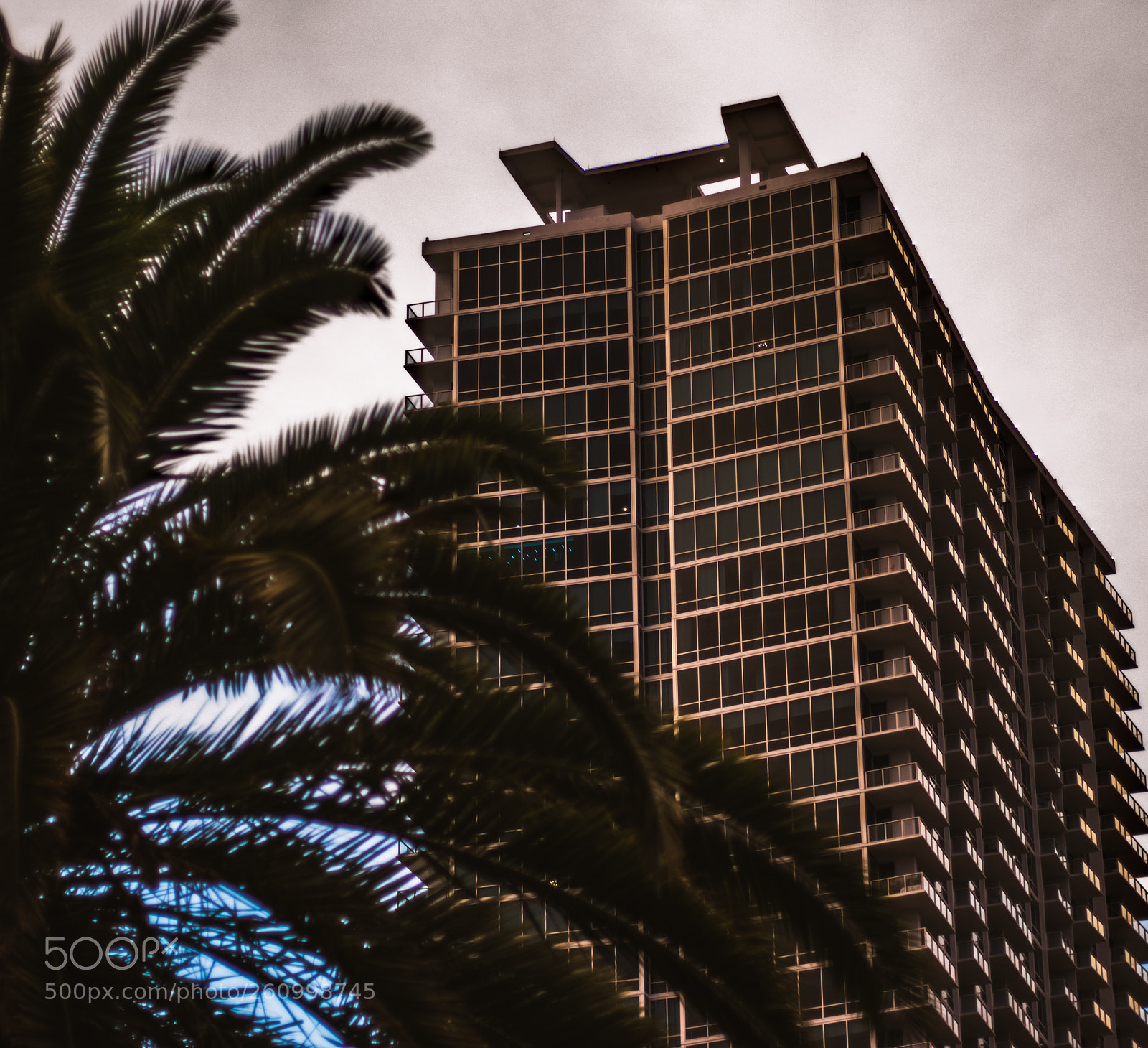 Canon EOS 80D sample photo. Lake eola, orlando, fl photography