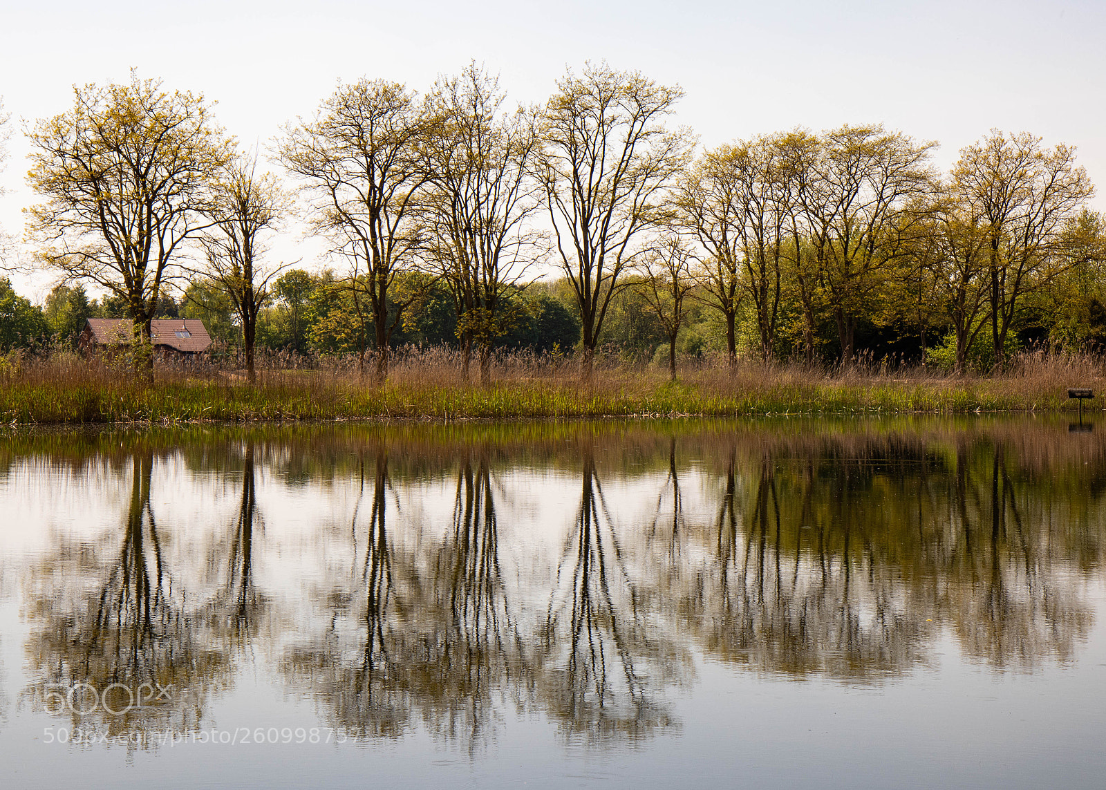 Canon EOS 80D sample photo. Reflections photography