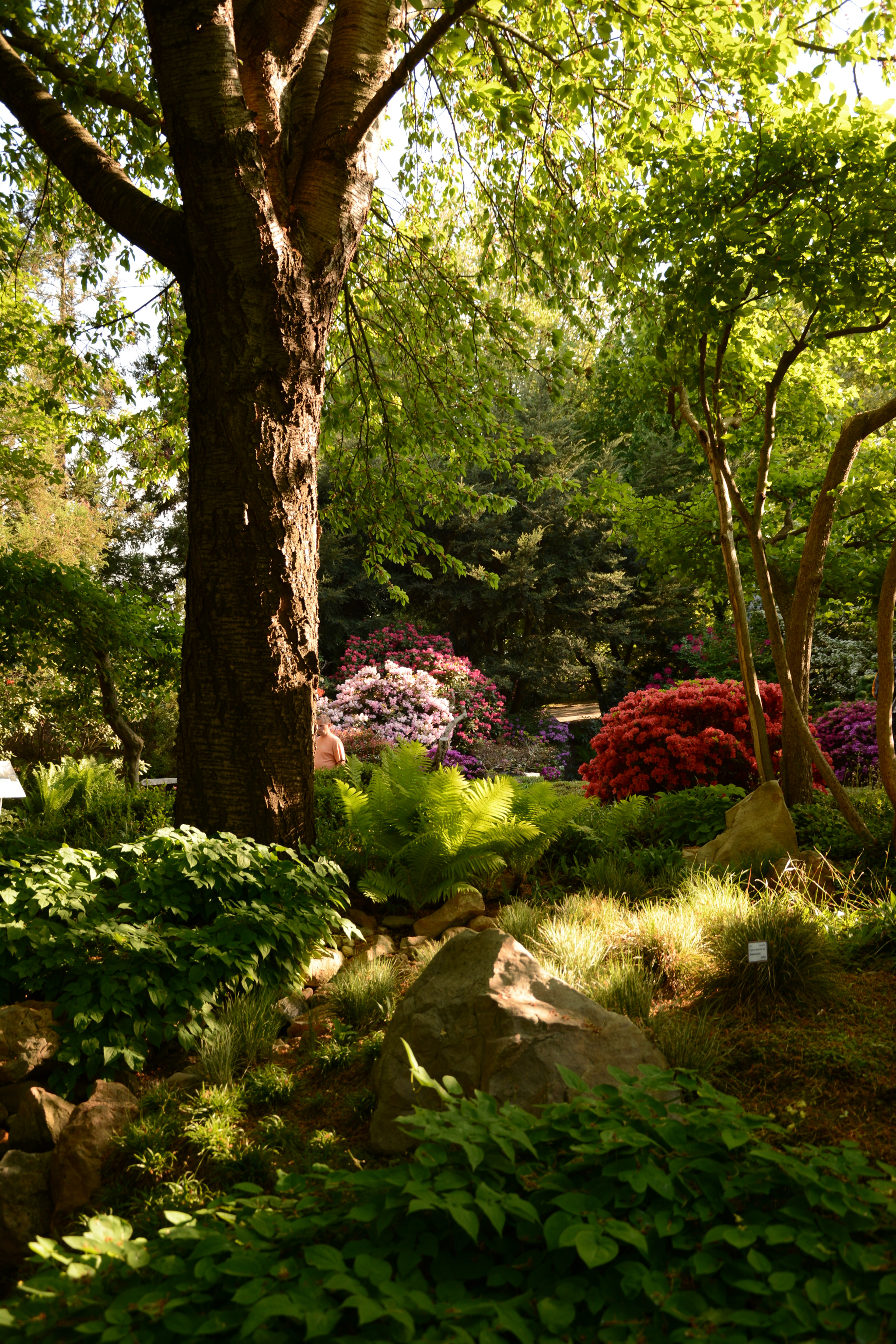 Nikon D7100 sample photo. Botanical garden in prague photography