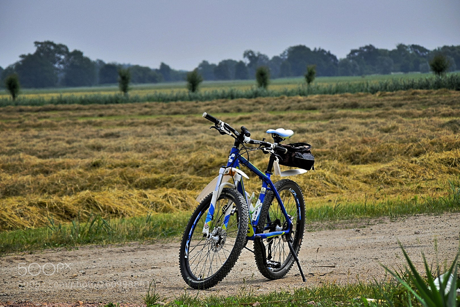 Nikon D5300 sample photo. Mein mtb! photography