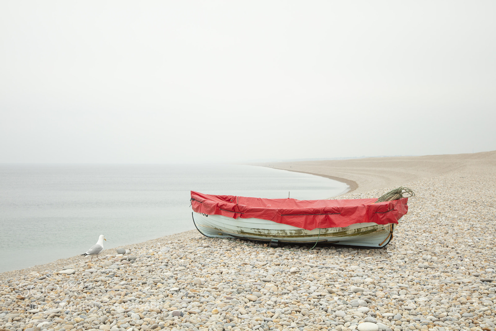 Canon EOS 5DS sample photo. Portland cove boat photography