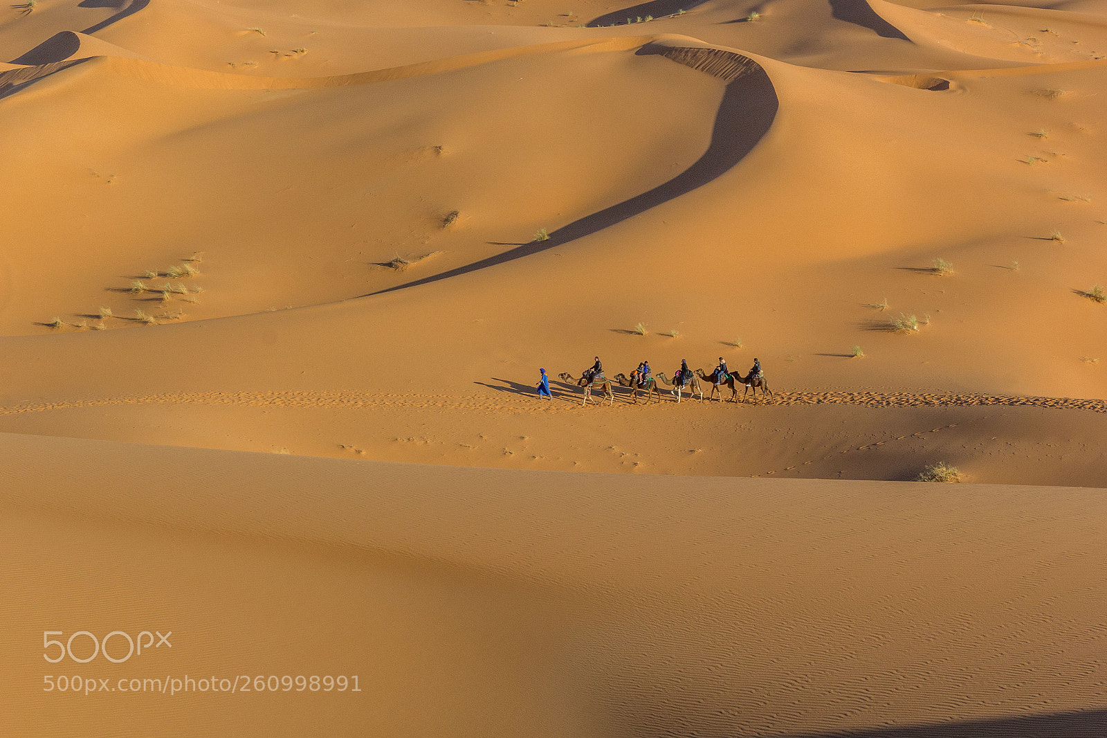 Canon EOS 60D sample photo. Magic in the sand photography