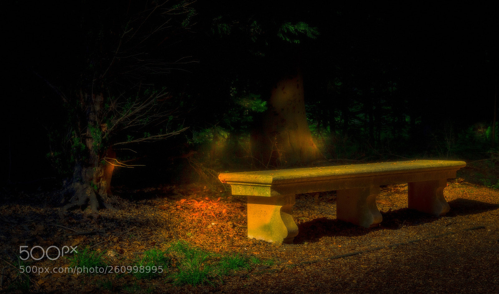 Canon EOS 60D sample photo. Mystic moment photography