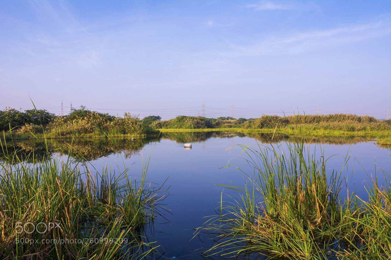 Nikon D7100 sample photo. Save the nature photography