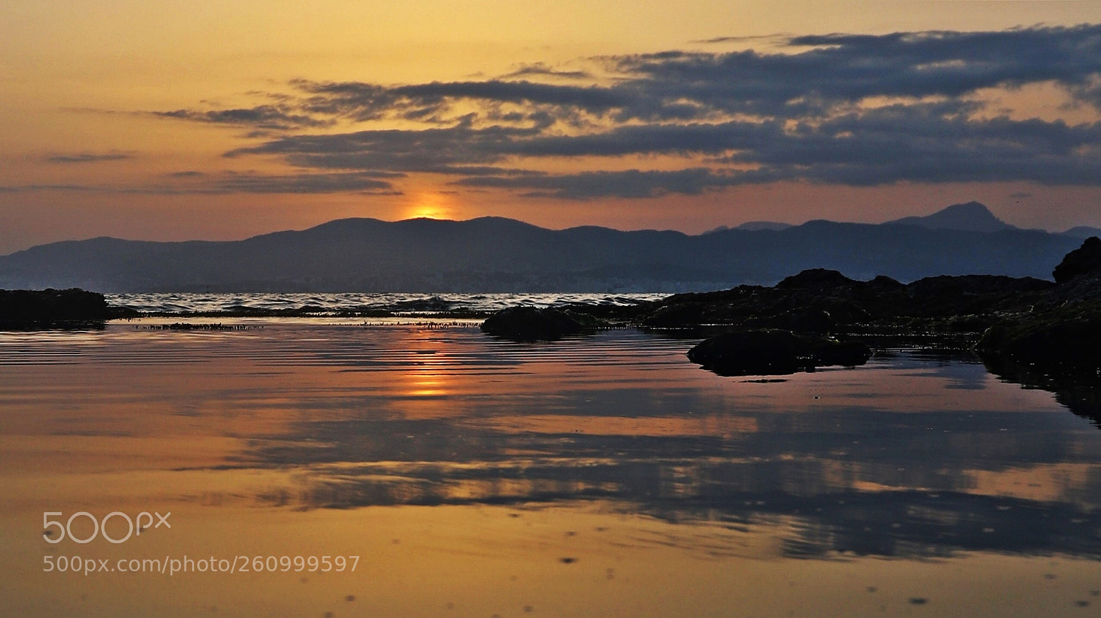 Canon EOS 6D Mark II sample photo. Untitled photography
