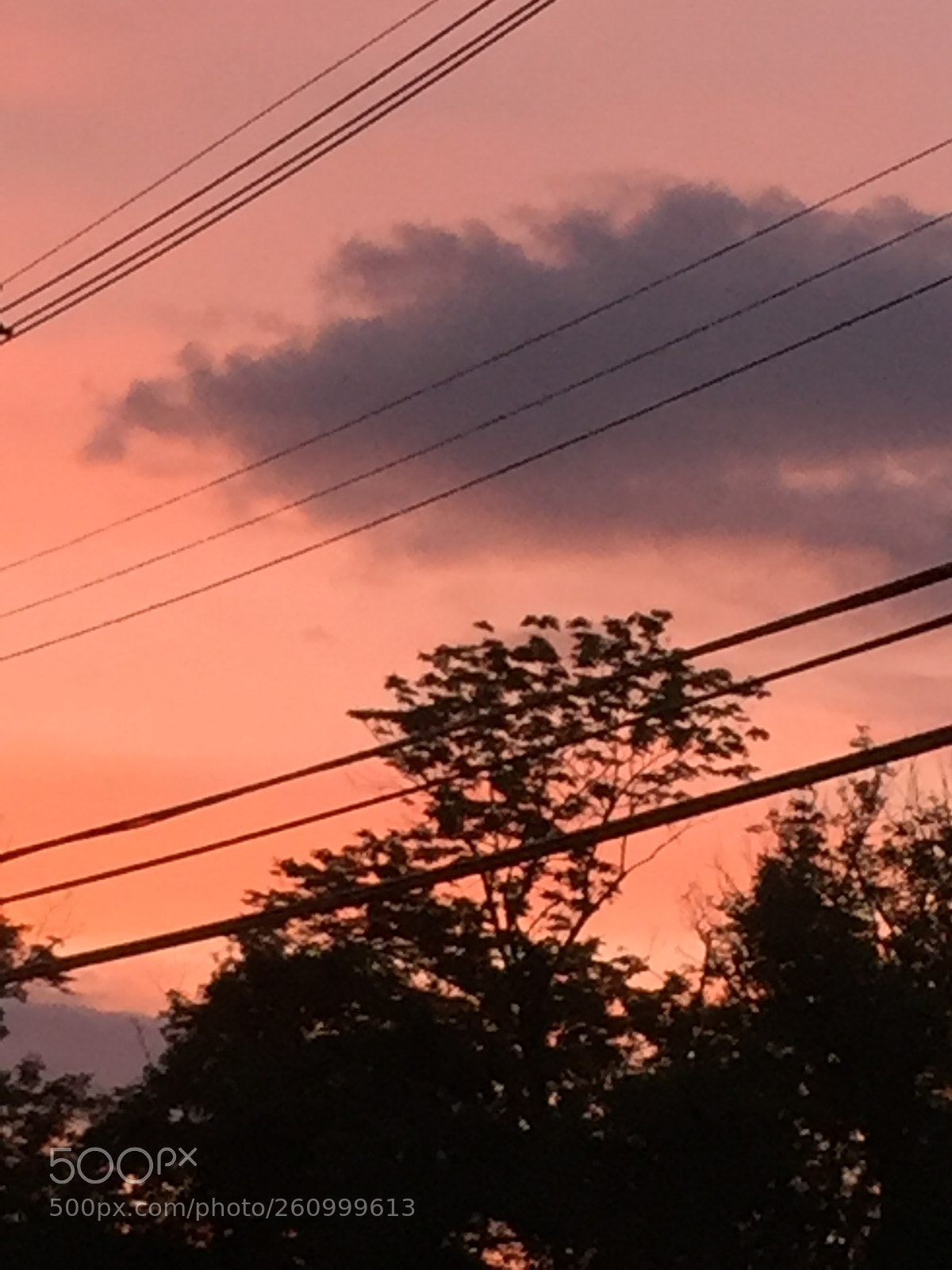 Apple iPhone 6 sample photo. Img photography