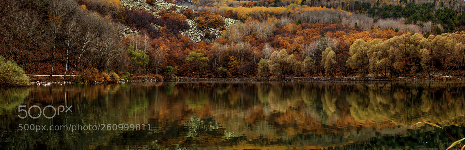 Canon EOS 80D sample photo. Panorama photography